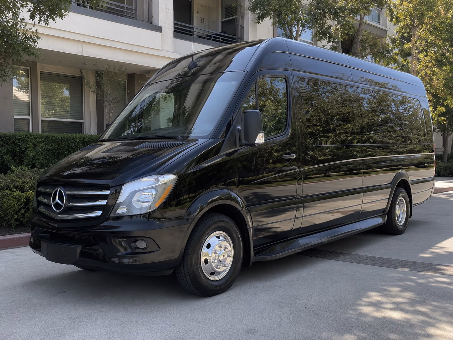 memphis 12 passenger sprinter van